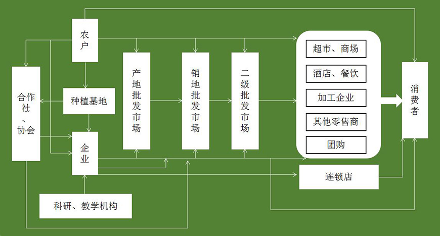 品牌互动模式及关键要素——传播渠道