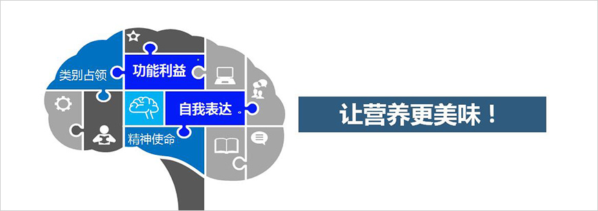 一大核心价值占位心智 一大核心价值占位心智