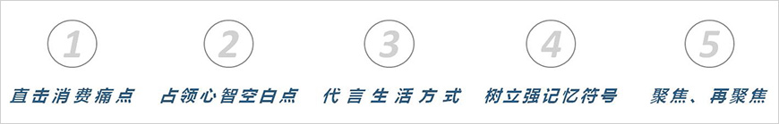 五大核心因素占位市场