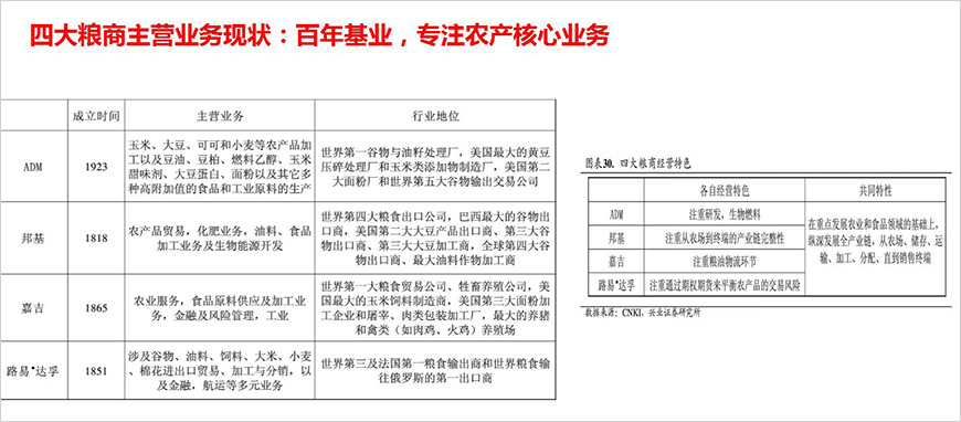 国际四大粮商