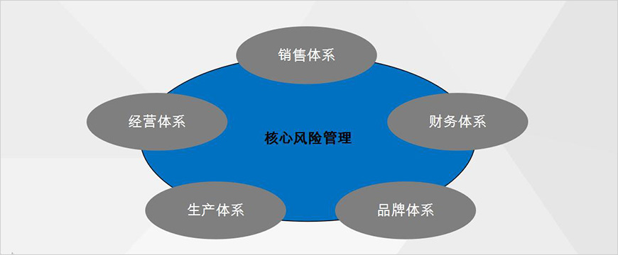 核心风险管理