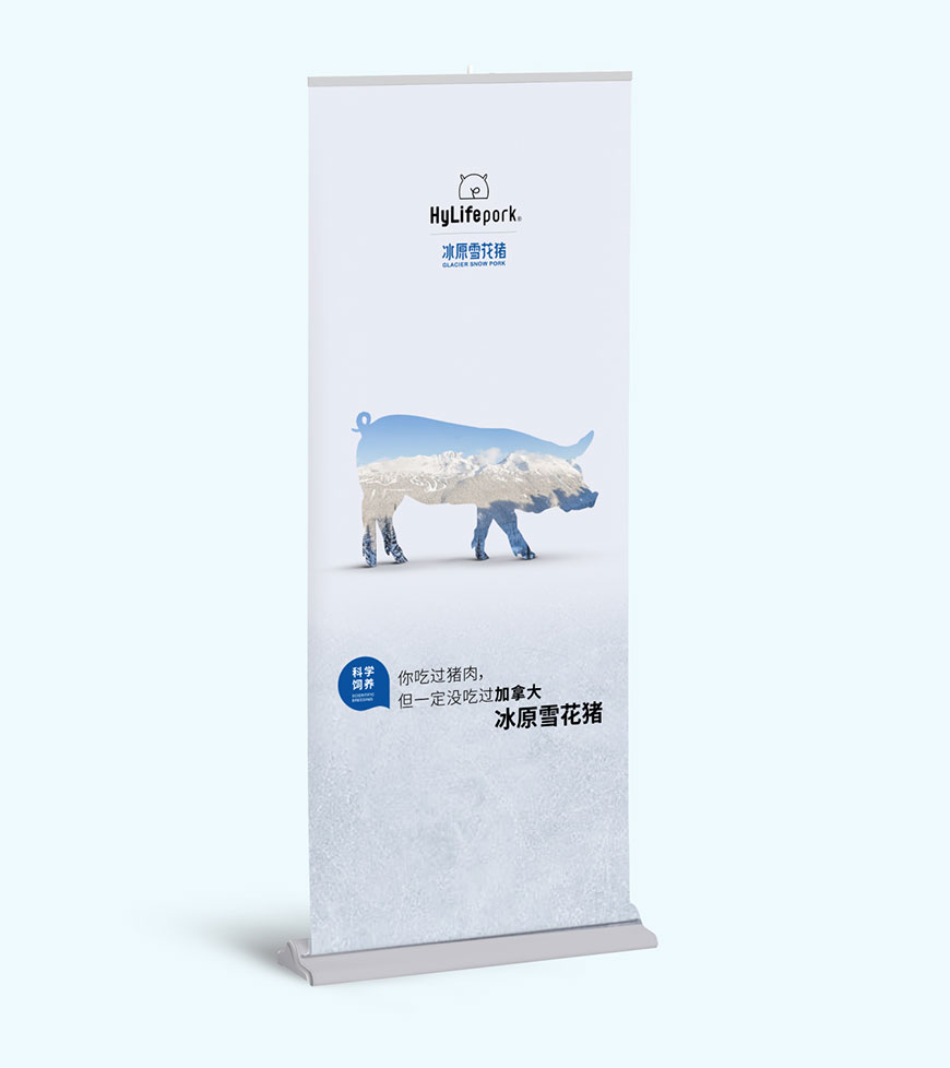 展板易拉宝 展板易拉宝