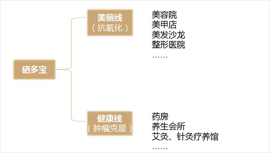 硒多宝特通渠道布局