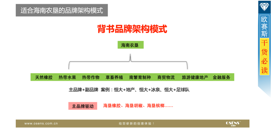 品牌战略，背书品牌架构集中投资海南农垦品牌资产