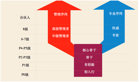 员工职业规划