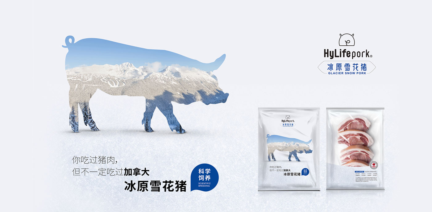 Hylife冰原雪花猪-主视觉.jpg