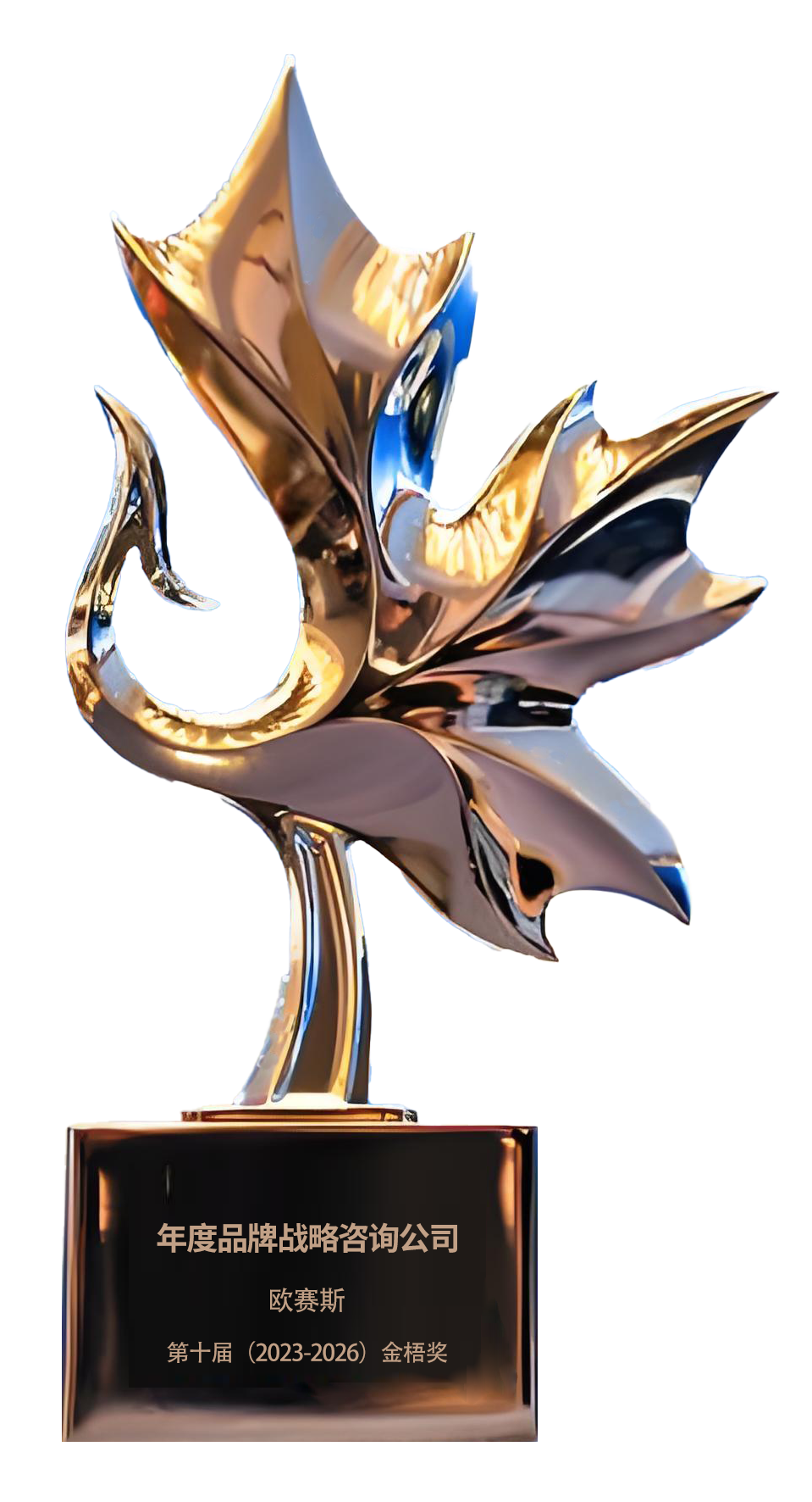 2024年荣获第十届金梧奖年度品牌战略咨询公司