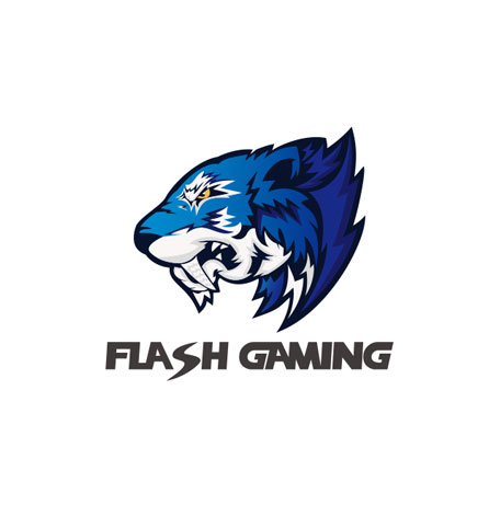 Flash Gaming品牌全案服务