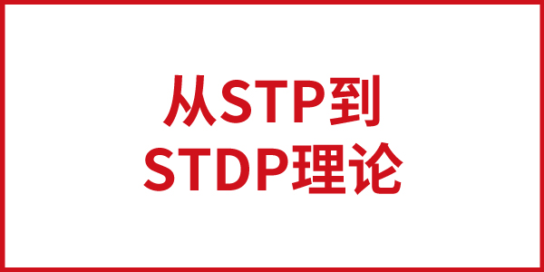 从STP到STDP理论