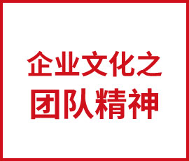 企业文化之团队精神