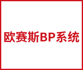 雯雯培训如何使用欧赛斯BP系统