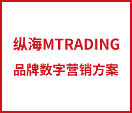 欧赛斯干货必读-纵横四海，纵海MTRADING品牌数字营销方案